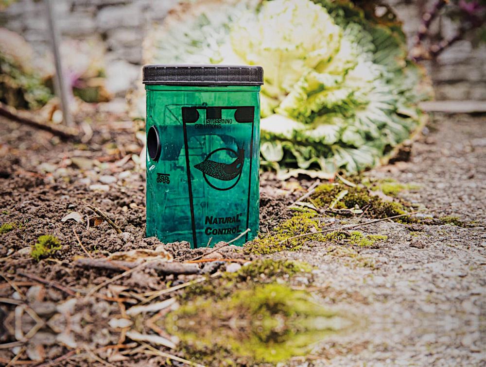 Sneglefelle med lokkemiddel