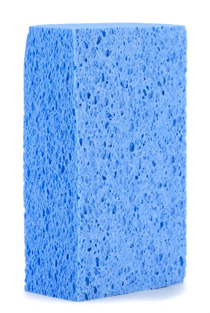 All Purpose Sponge Svamp blå