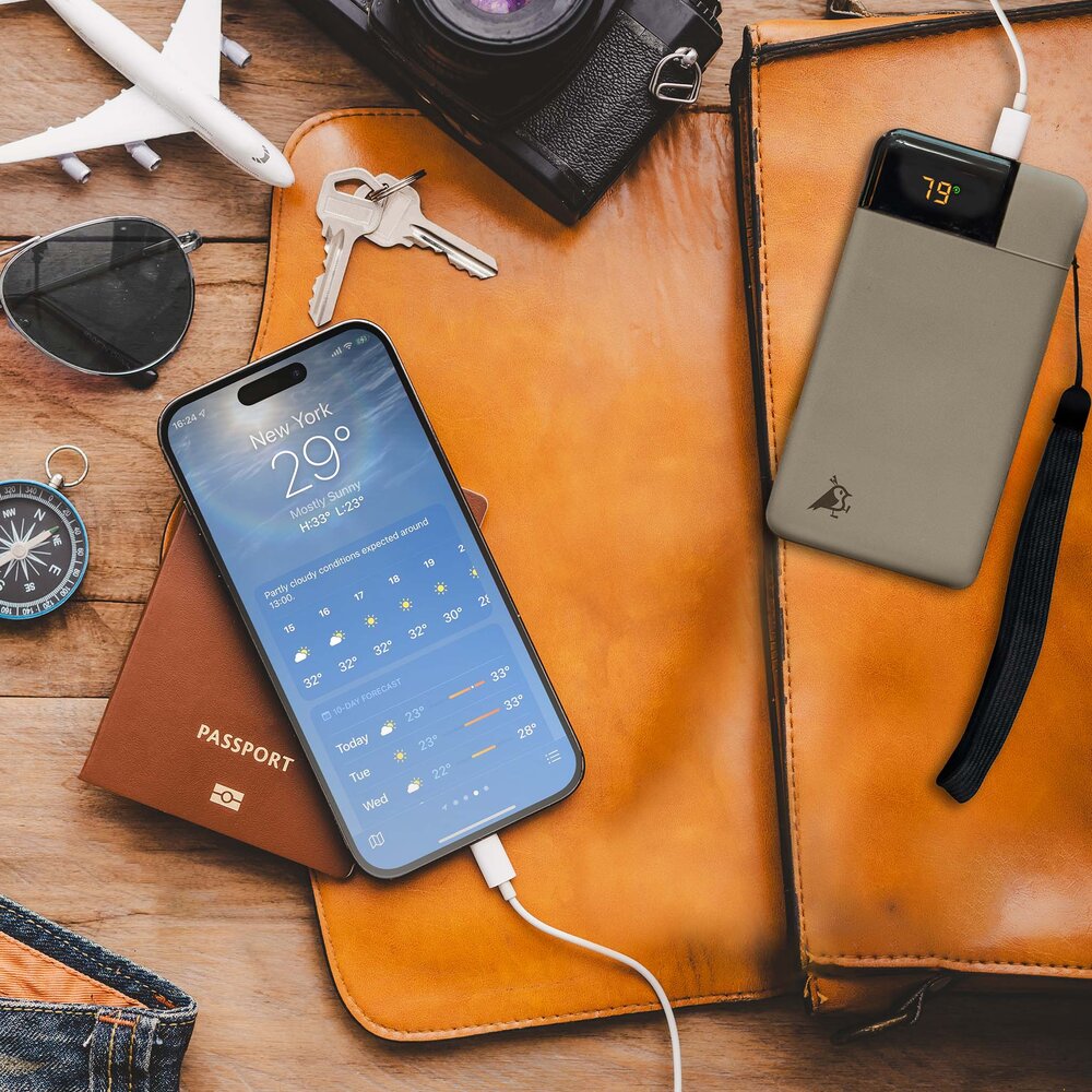 Powerbank Powerbird B10 10000 mAh svart