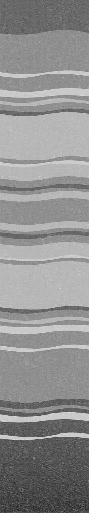 F65 L Markise 450 Titanium Royal Grey