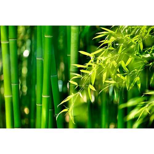 Bambus Dekket&#248;ysett 16 deler